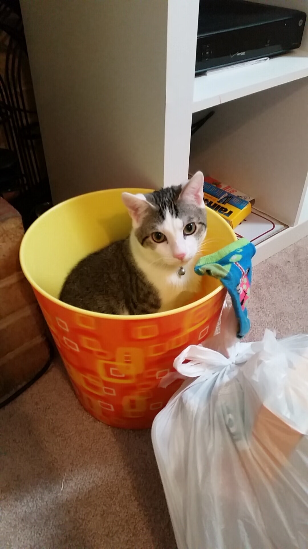 爱游戏体育网页版-QQ飞车全新速度挑战赛激烈开战，极速飙车竞速体验，qq飞车手游qs极速