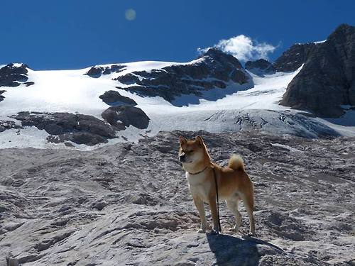 _城市夜空跑:点亮夜色,追逐梦想_,城市夜空高清壁纸